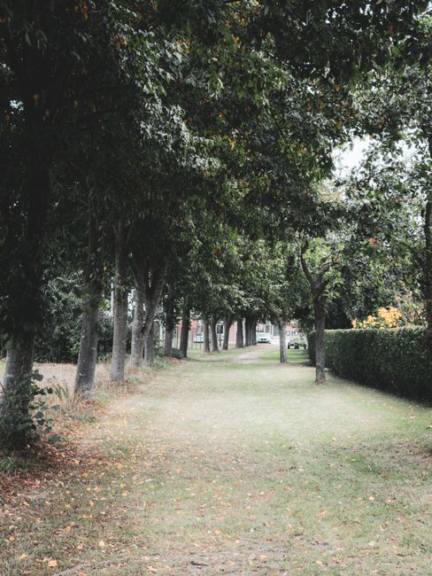 https://wastecollectionbelsizepark.co.uk/blog/rubbish-collection-for-eton-avenue-and-belsize-park-gardens/